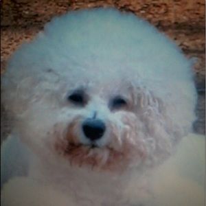 Meet your Posher, Helen